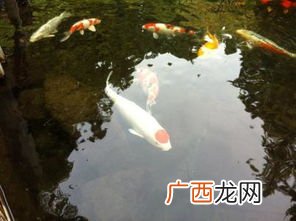 迤逦是什么意思,旖旎和迤逦有区别吗？
