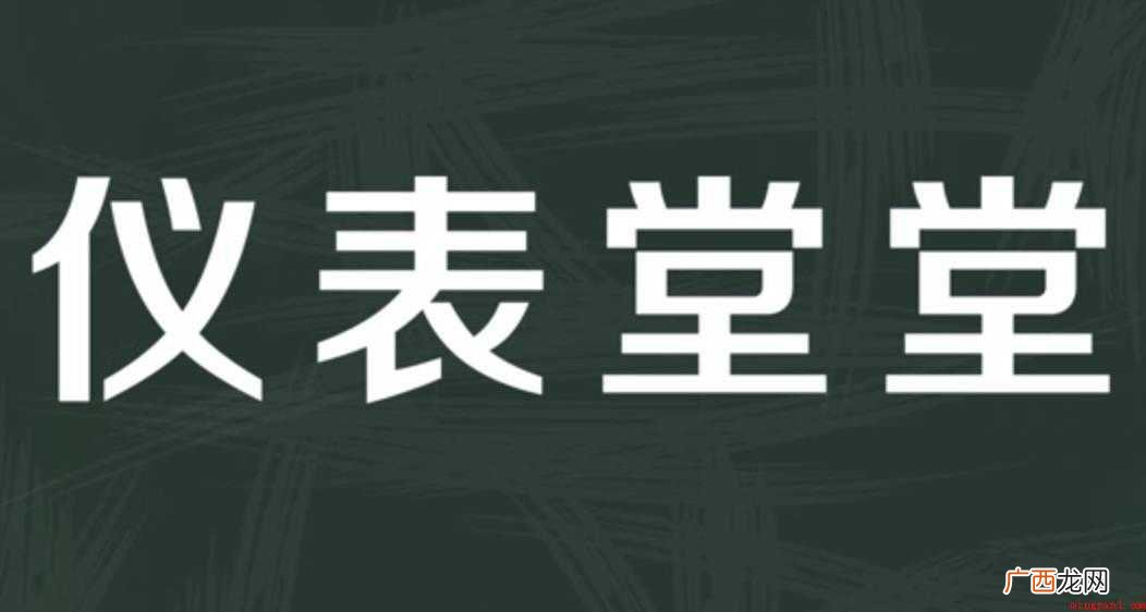 仪表堂堂的意思是什么
