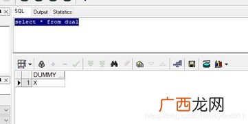dual是什么意思,dual是什么梗？