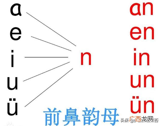 前鼻韵母有哪些9个,前鼻韵母有哪些，按顺序？