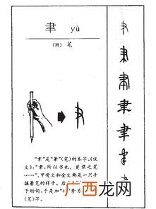 聿是什么意思,聿，是什么意思？
