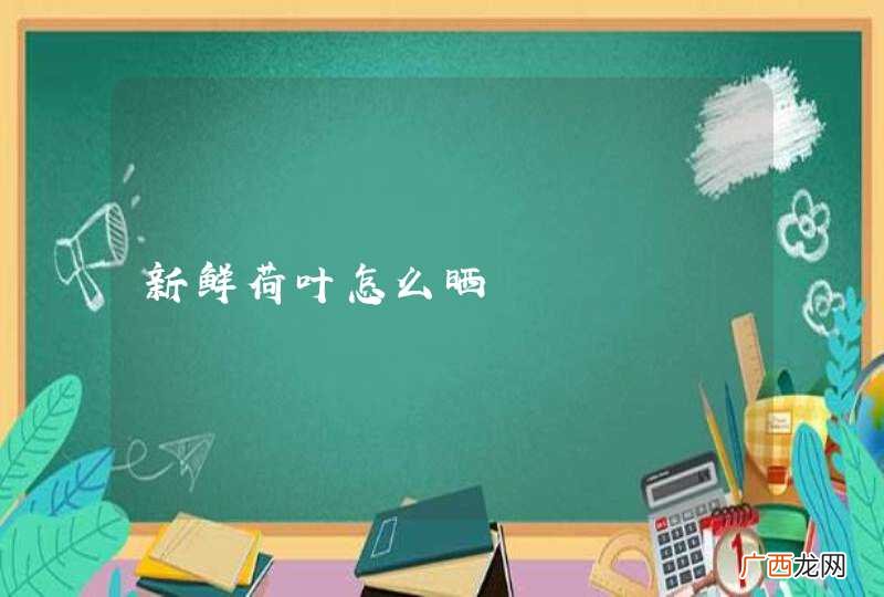 新鲜荷叶怎么晒