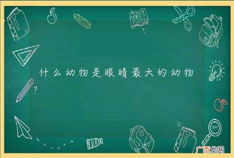 什么动物是眼睛最大的动物？