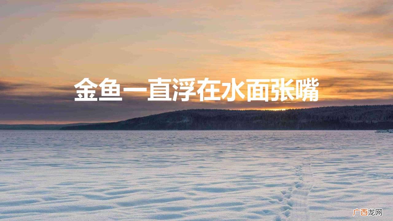 金鱼浮出水面张嘴什么原因 金鱼一直浮在水面张嘴怎么办
