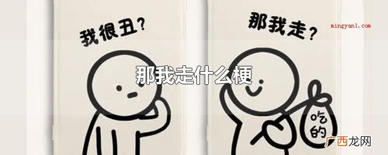 那我走什么梗