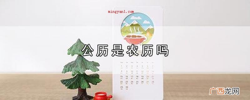 公历是农历吗