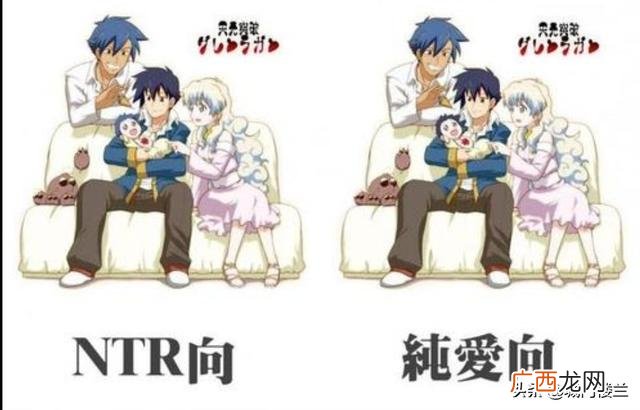 ntr什么意思,NTR是什么意思？