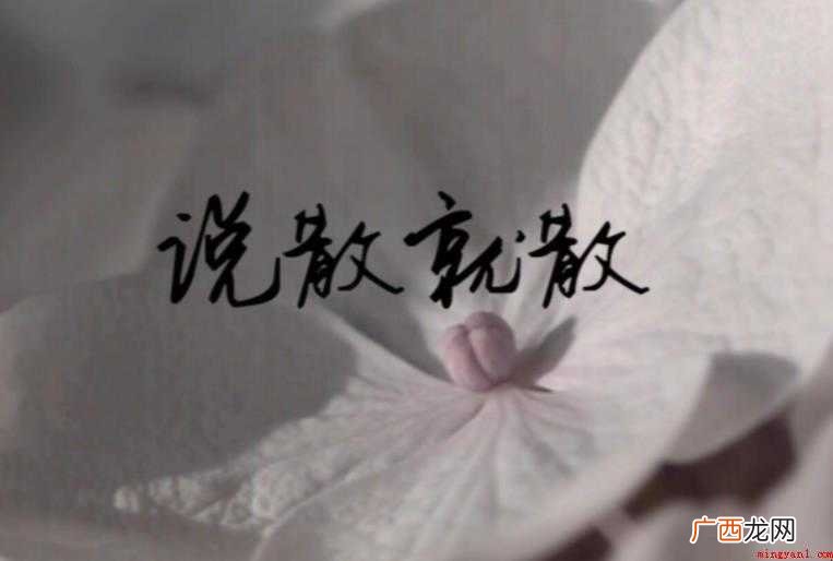 《说散就散》创作背景是什么