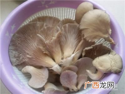 平菇怎么做好吃,平菇和鸡蛋怎么炒好吃？