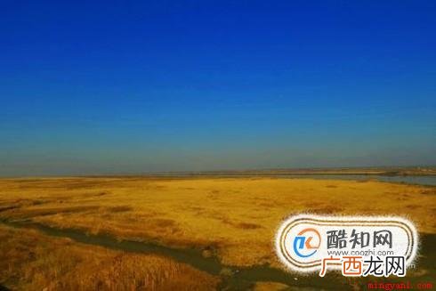 大地色系单品搭配 大地色是什么颜色(大地色的服饰有哪些搭配技巧)