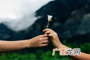 朝夕相处什么意思,朝夕相处和朝三暮四的朝是一个意思吗？