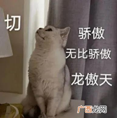 网络用语龙傲天是什么意思 龙傲天这个梗出自哪里