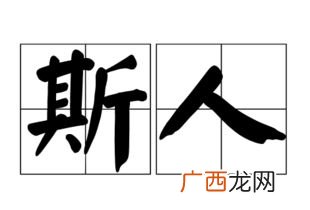 斯人是什么意思,斯人已去的近义词？