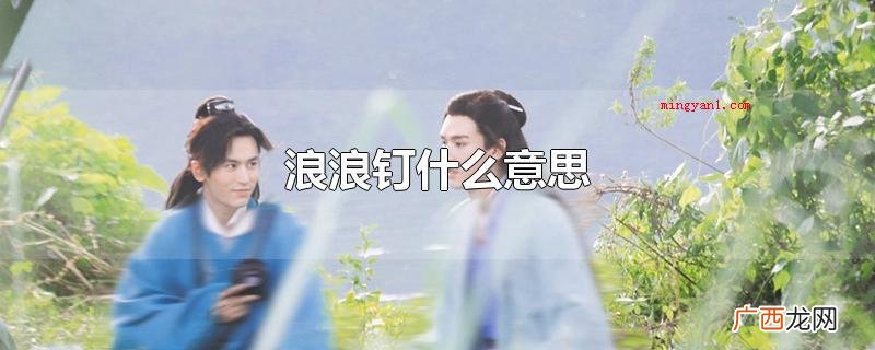 浪浪钉什么意思