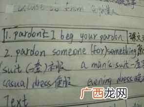 pardon是什么意思,pardon是什么意思中文？
