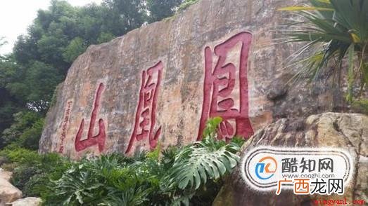 深圳凤凰山旅游操作方法 深圳凤凰山好不好玩凤凰山怎么样