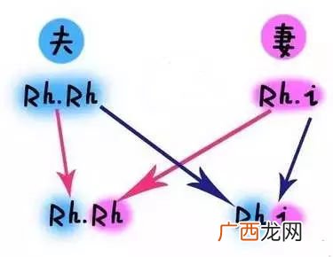 什么是abo,同人文中的ABO设定是什么意思?好不好?