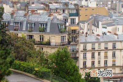 60字 霸王龙的外形特点,恐龙名字及外形特点?