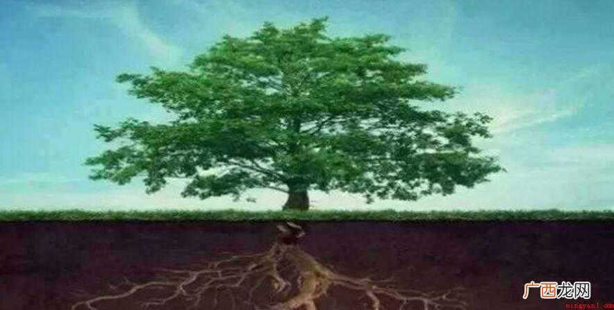 根深蒂固的近义词有哪些