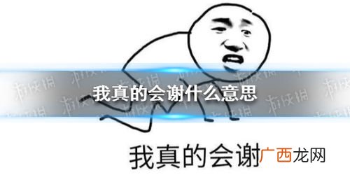 我真的会谢是什么意思,谢你吉言是什么意思？