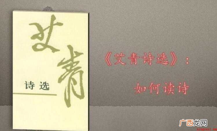 《艾青诗选》读后感怎么写