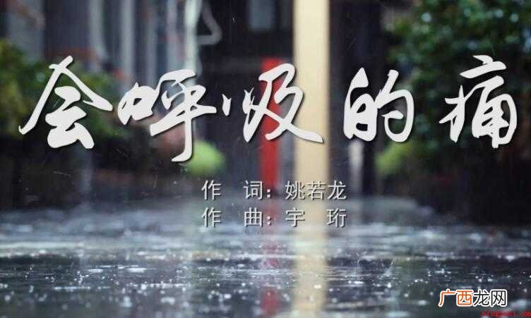 《会呼吸的痛》的歌词是什么