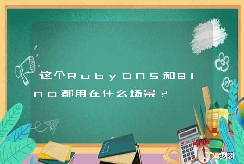 这个RubyDNS和BIND都用在什么场景？