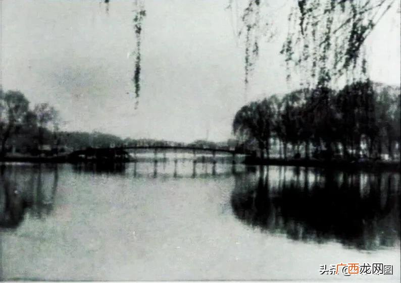 老舍先生自沉于北京太平湖 老舍自沉太平湖的原因