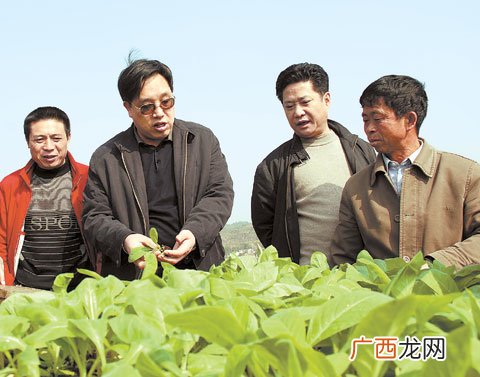 服务三农是什么,下乡服务三农的内容？