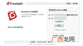fox是什么意思,fox的意思是什么?