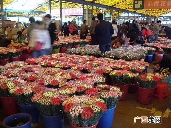 广州花卉批发市场在哪里,广州鲜花批发地址？