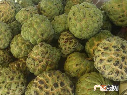 释迦果怎么吃,玫瑰释迦果怎么吃？
