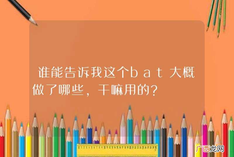 谁能告诉我这个bat大概做了哪些,干嘛用的?