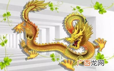 牛鬼蛇神打一生肖,神指什么生肖？