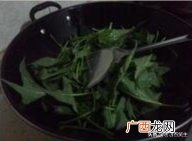 红薯叶子有什么功效和作用,红薯叶怎么做？