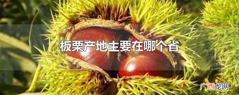 板栗产地主要在哪个省