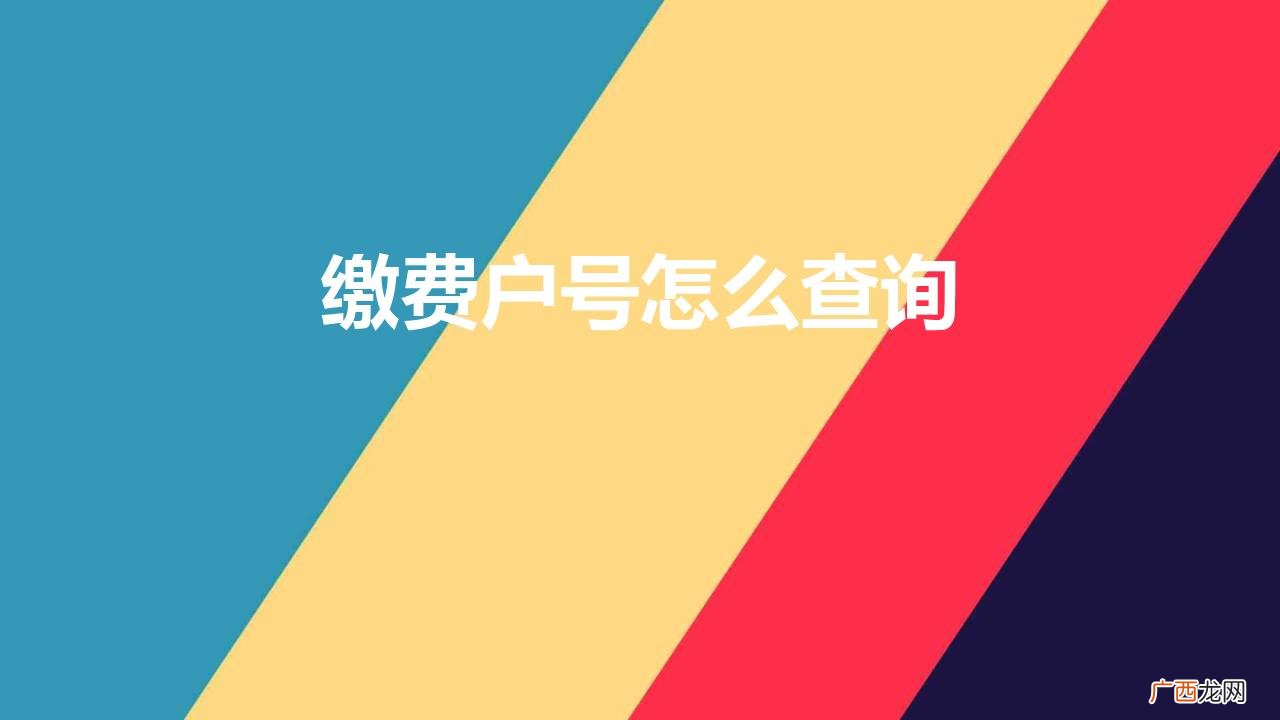 微信缴费户号怎么查询 缴费户号怎么查询