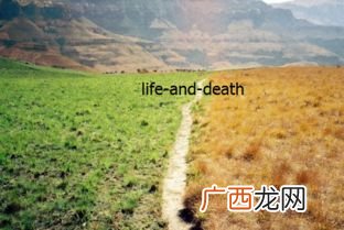 death是什么意思啊,dead die died和death区别是什么，怎么用？