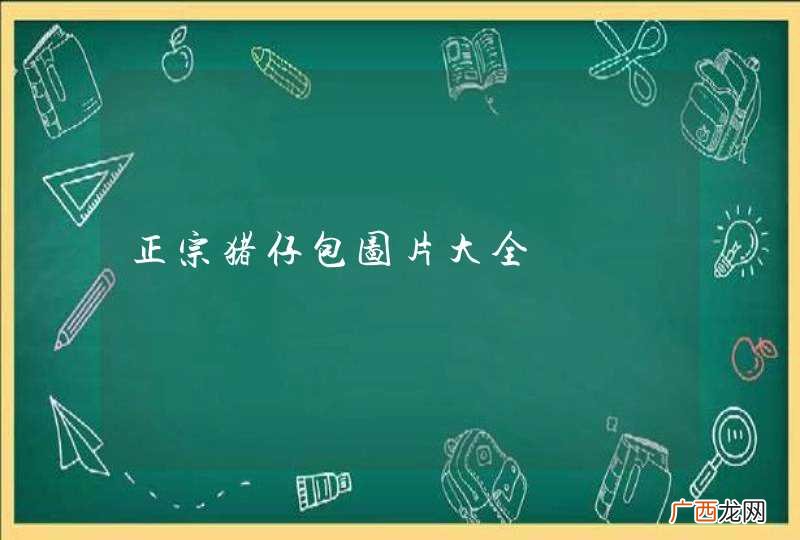 正宗猪仔包图片大全