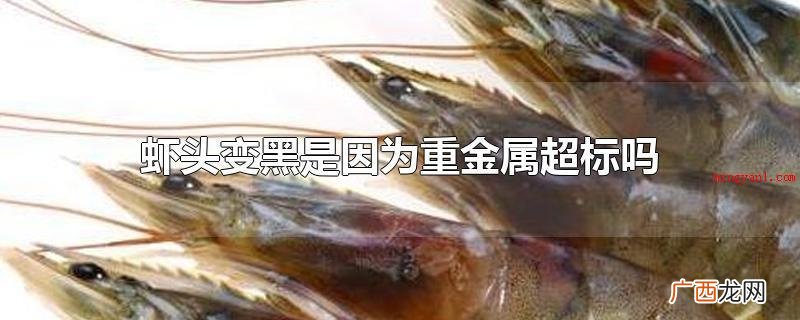 虾头变黑是因为重金属超标吗