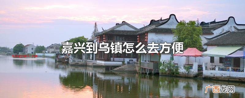 嘉兴到乌镇怎么去方便