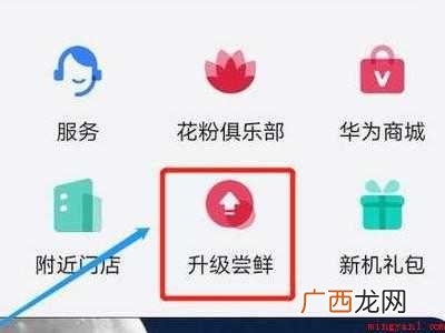 nova6怎么升级鸿蒙系统