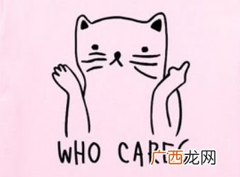 cares是什么意思,是who care还是who cares?
