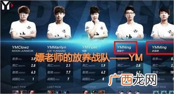 ym是什么意思,YW的意思?