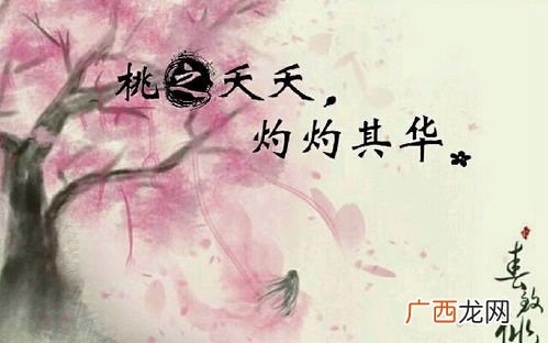 灼灼其华,桃之夭夭是什么意思,桃之夭夭，灼灼其华。这八个字怎么念？