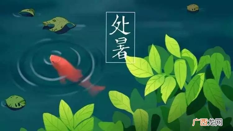 处暑节气含义,二十四节气中“小暑.大暑.立秋.处暑的相关知识？