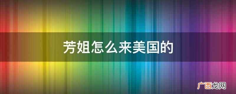芳姐与妹妹的男同事开始网络交流,有翻译软件帮忙 芳姐怎么来美国的