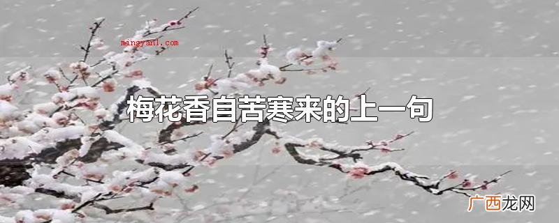 梅花香自苦寒来的上一句