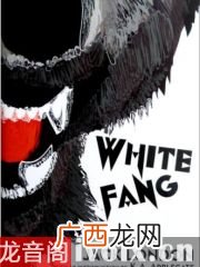巴克是什么,ROI什么意思？