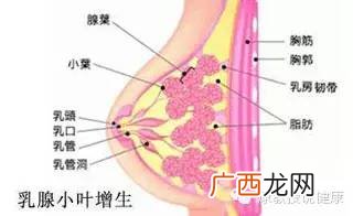 双侧乳腺增生是什么意思,双侧乳腺增生birads2类什么意思？